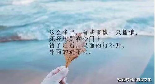 高雅有内涵的qq个性签名,句句简单有气场,发朋友圈很有格调