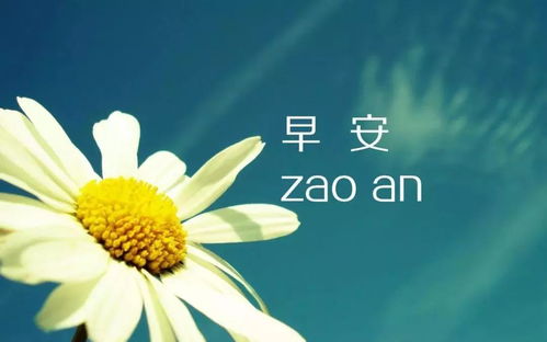 2023最新早安图片鲜花带字 新的一天开始早安语心情说说句子