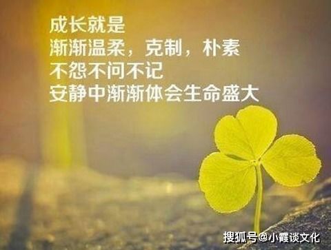 早上心情好充满阳光的句子,句句暖人心,每一句都很棒