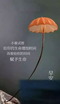 发朋友圈最新版人生哲理语录,感悟人生的经典短语