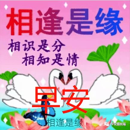 8张最新有创意的亲人早上好祝福语表情图片带字 友谊早安问候语简短