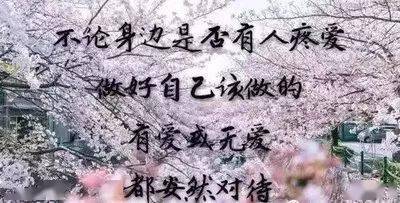 梅朵抖音最火一首歌