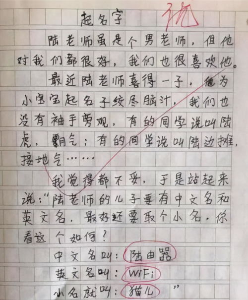 小学生作文 勤劳的妈妈 ,看完笑出鹅叫,爸爸 家丑不可外扬