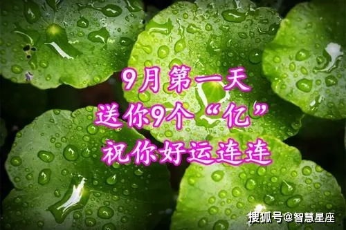 9月1日最新早上好暖心问候语短信,九月第一天最美的温馨祝福文字图片