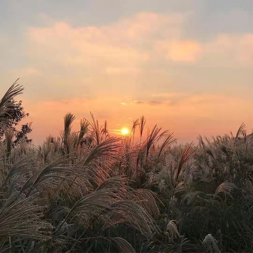 文案 曾经以为很遥远的一年其实只剩最后一个月了 生活 都只来 圣诞老人 