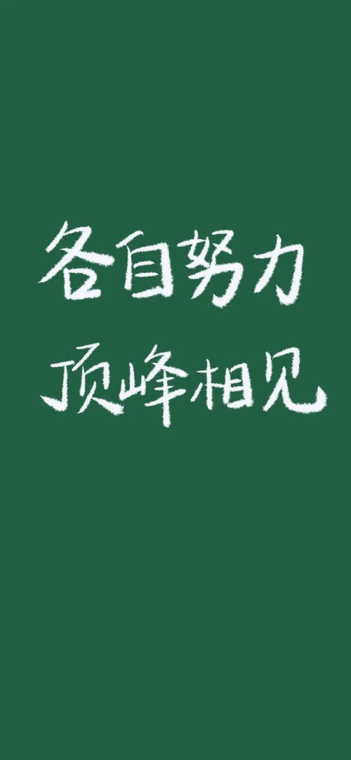 今日份热门壁纸 各自努力 顶峰相见