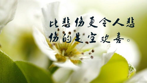 心情不好的图片带字,表达心情低落伤感的句子