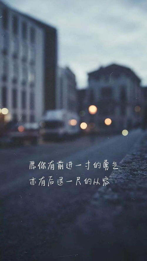 文字壁纸 不怕后悔,不留遗憾