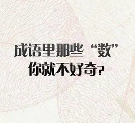 成语里的那些 数 ,具体都是啥意思 