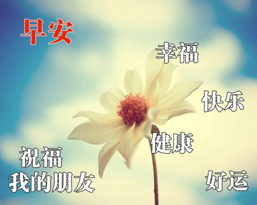 2023新版早上好问候语图片大全 2023最新早安祝福语带图片 