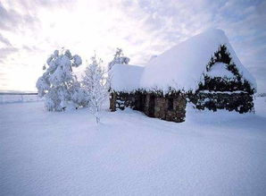 赞美雪景的诗句 