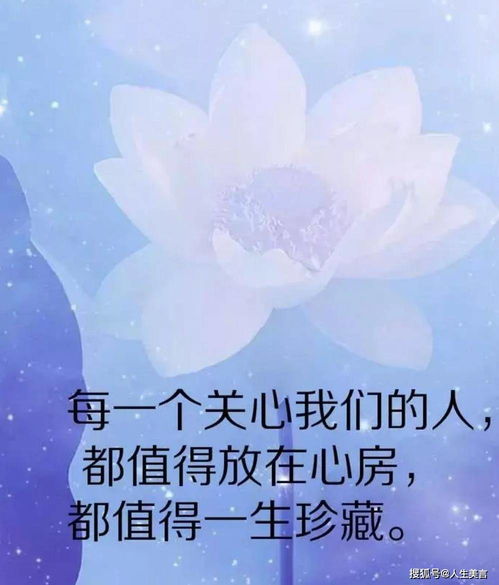 心情说说感悟人生,一段很现实的话适合发朋友圈