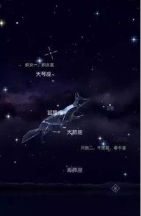 夏至 仰望最美星空