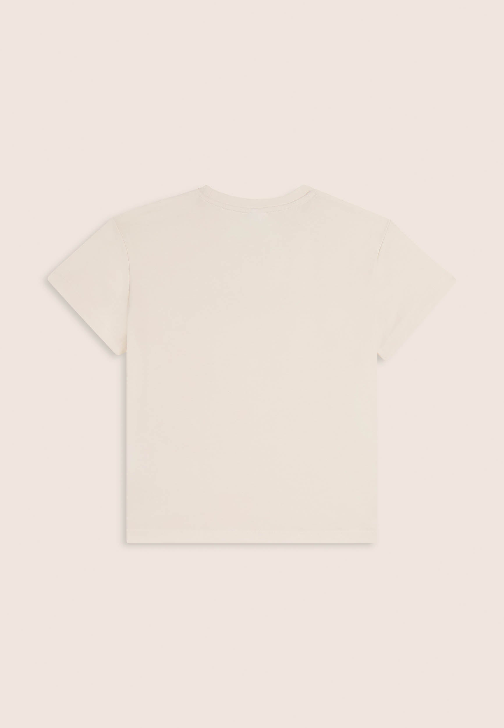 FR2193_2F5010_-_2BG_10 2